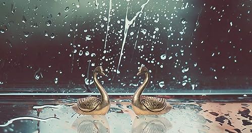 Set of 2 Brass Duck Figurines, Metal Decor Items for Living Room, Office Desk Paperweight, Vintage Brass Statues for Gifting