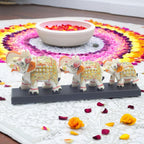 Three Marble Elephants on Wooden Base Gift Box Set for Diwali, Weddings, Grihpravesh