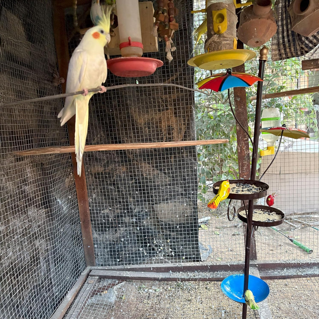 Outdoor Bird Feeder with Water Bowl & Two Seed Trays