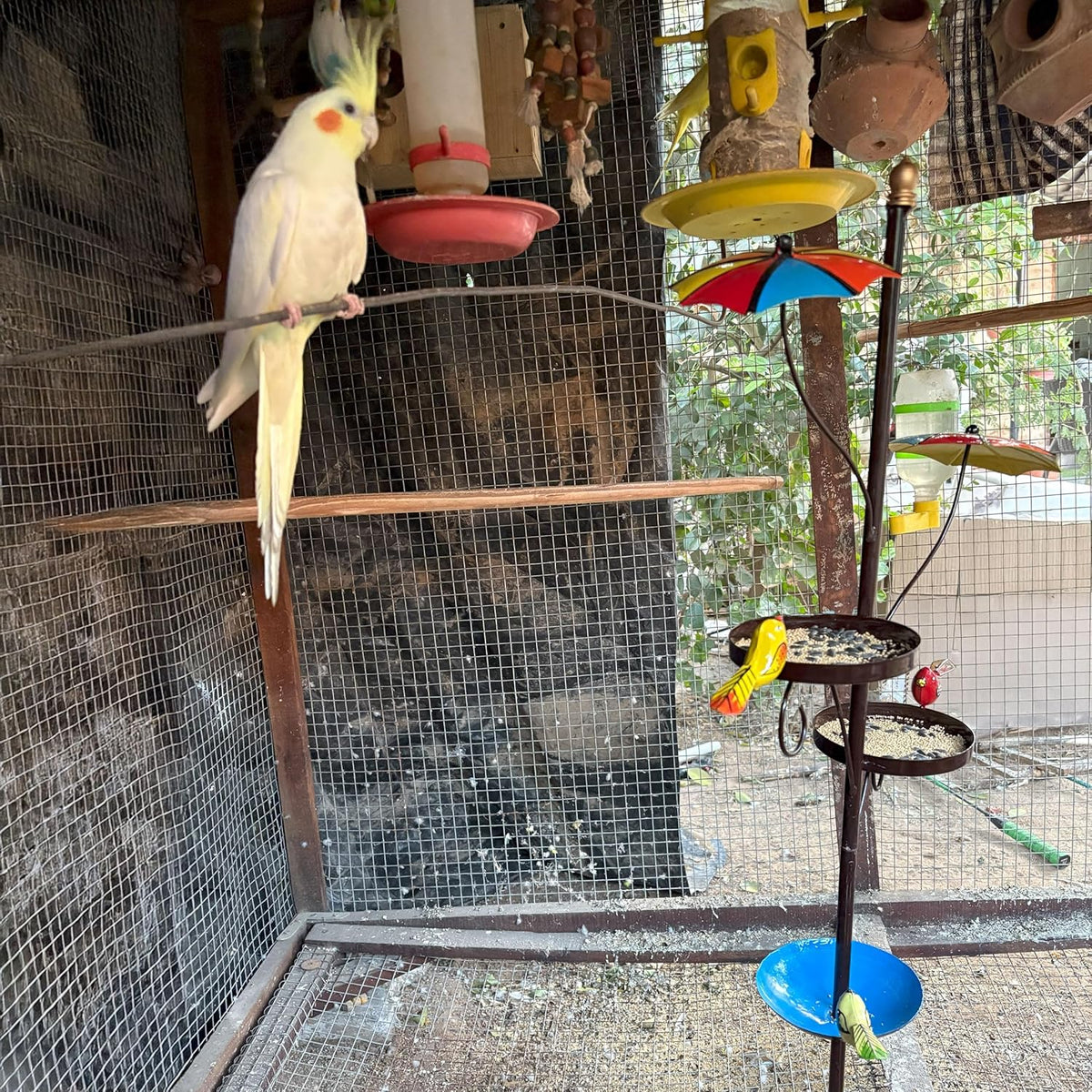 Outdoor Bird Feeder with Water Bowl & Two Seed Trays