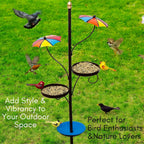 Outdoor Bird Feeder with Water Bowl & Two Seed Trays