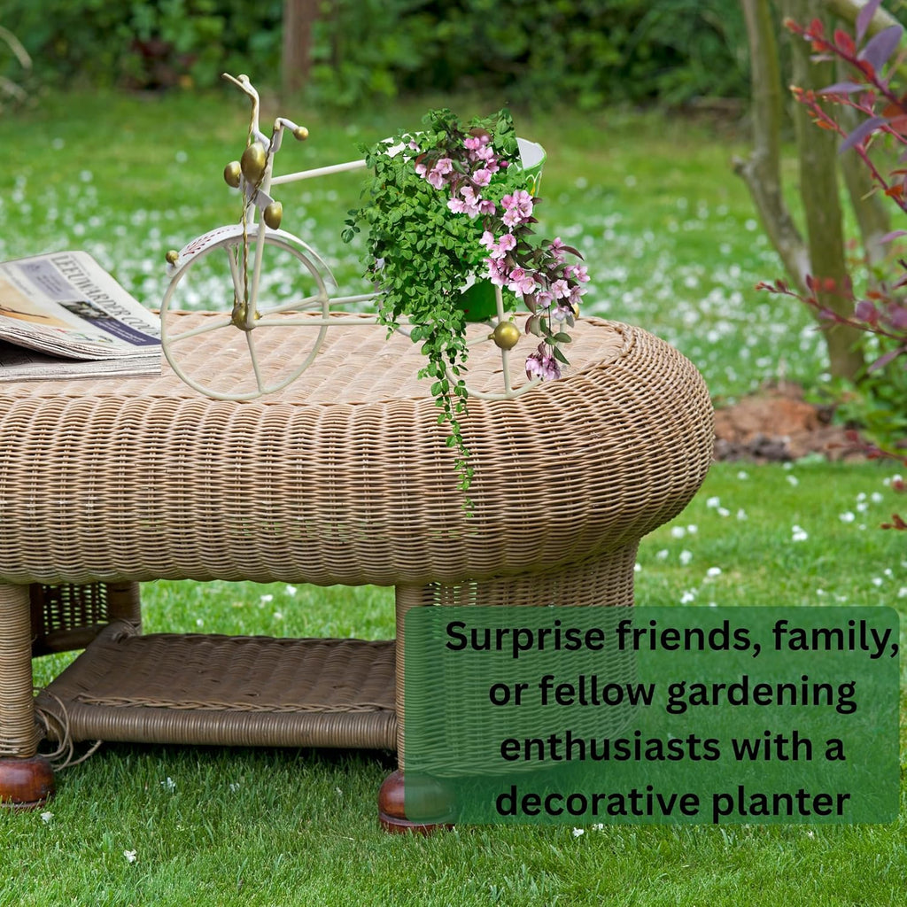 Garden Planter with Drainage Hole