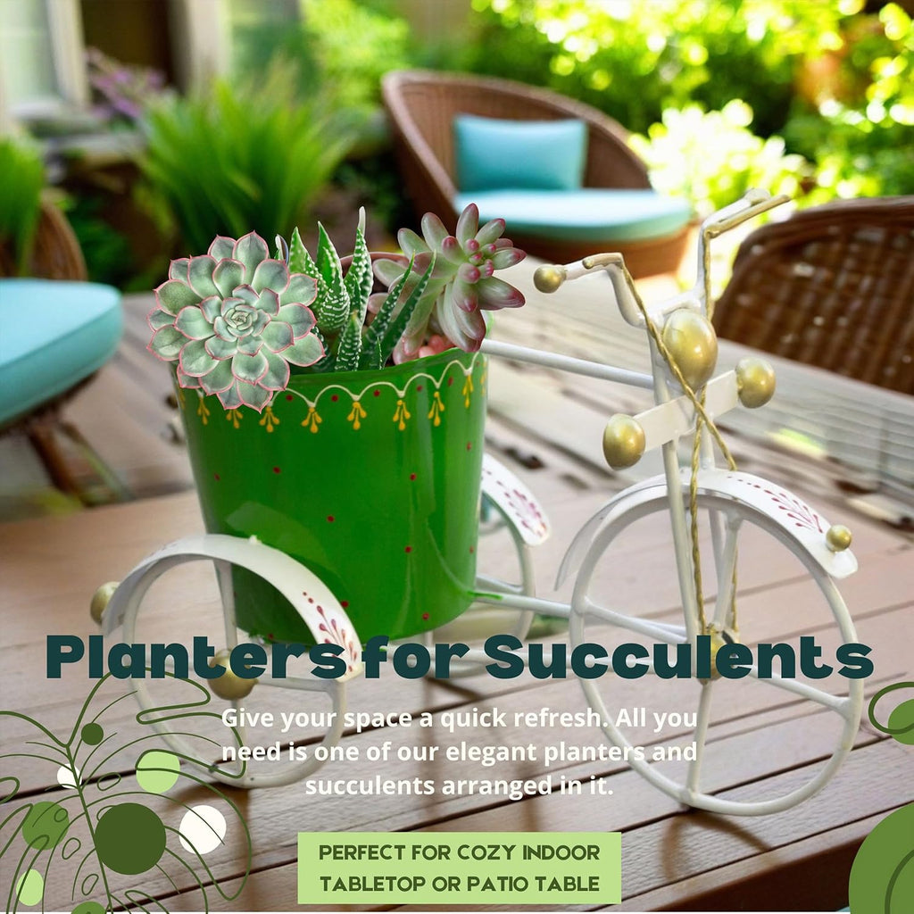 Garden Planter with Drainage Hole