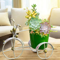 Garden Planter with Drainage Hole – Rust-Resistant Iron Flower Pot Bonsai Succulent Plants Holder for Indoor & Outdoor Home Décor, Decorative Items for Living Room (Tricycle Green)