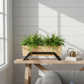 Mango Wood Planter with Metal Stand | Modern Indoor Plant Holder for Home & Office