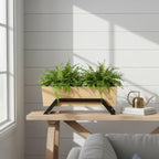 Mango Wood Planter with Metal Stand | Modern Indoor Plant Holder for Home & Office