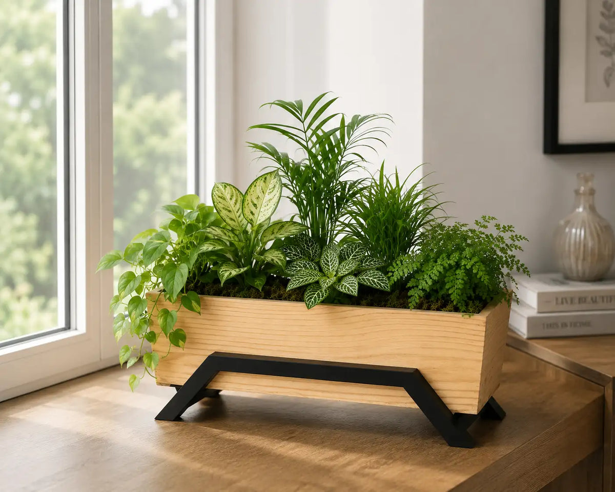 Mango Wood Planter with Metal Stand | Modern Indoor Plant Holder for Home & Office